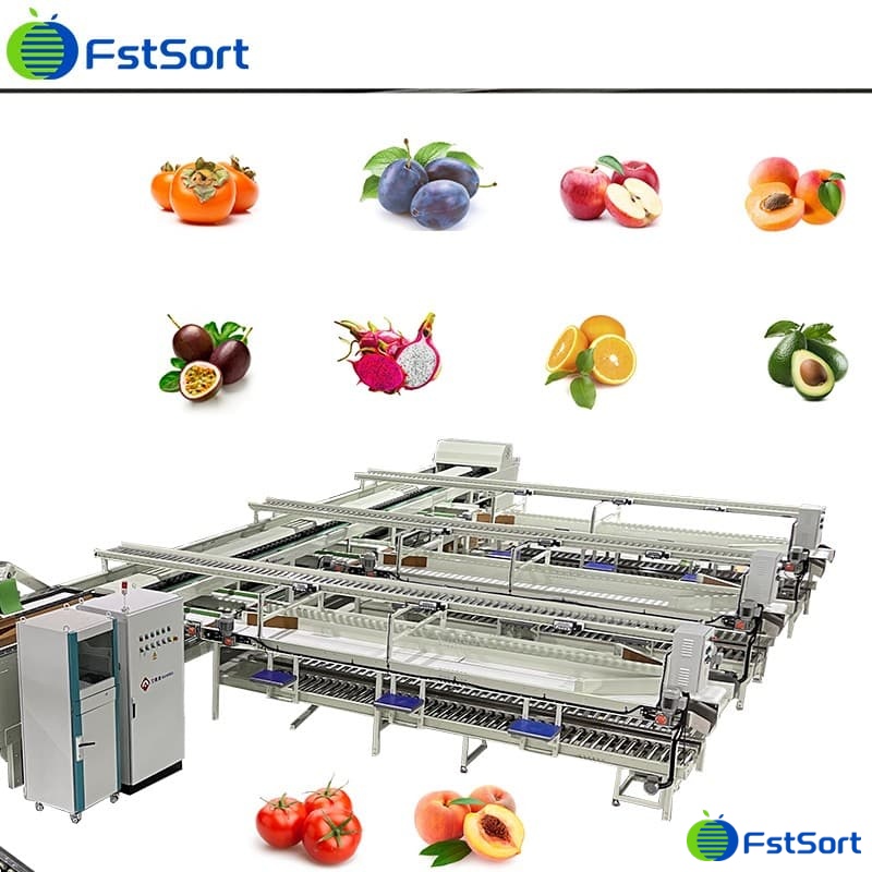 images/1772073575748fruit sorting machine.jpg